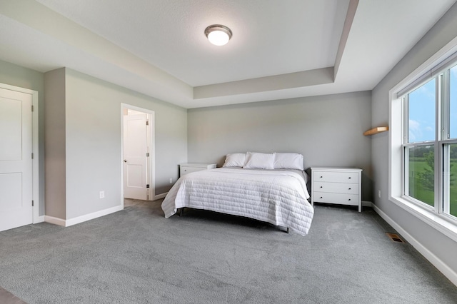 13417 Avila Ave, Rosemount, MN 55068 - photo 21
