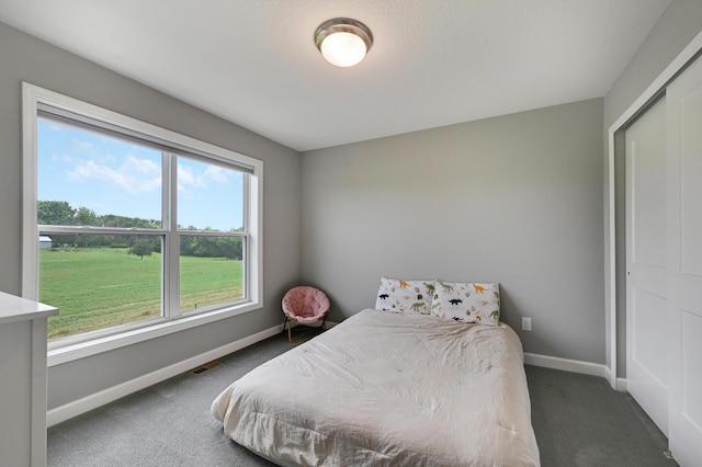 13417 Avila Ave, Rosemount, MN 55068 - photo 31