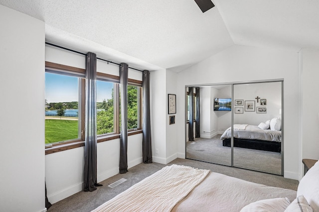 1575 Wayzata Blvd Unit A, Long Lake, MN 55356 - carpeted bedroom with lofted ceiling and a closet
