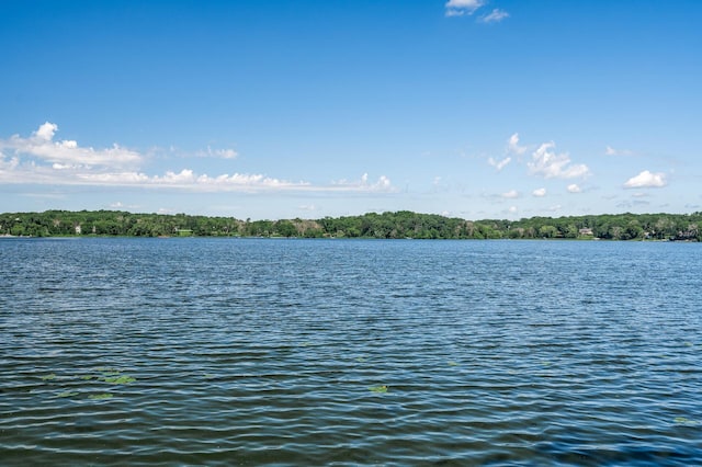 1575 Wayzata Blvd Unit A, Long Lake, MN 55356 - water view
