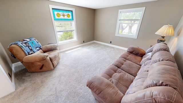 410 Atlantic Ave W, Grove City, MN 56243 - living room featuring plenty of natural light and carpet