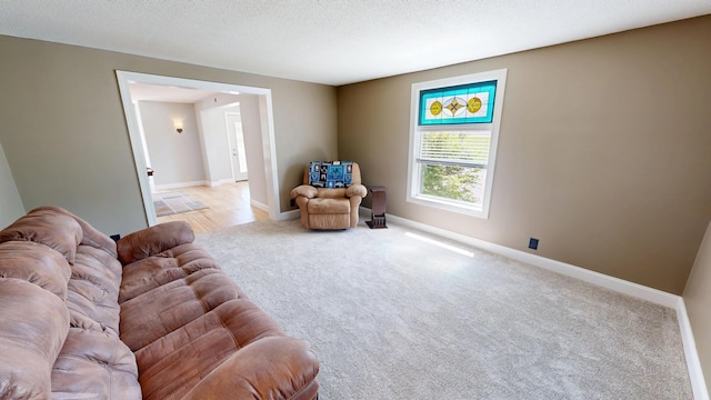 410 Atlantic Ave W, Grove City, MN 56243 - sitting room featuring carpet floors and a textured ceiling