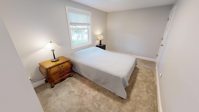 410 Atlantic Ave W, Grove City, MN 56243 - bedroom featuring carpet