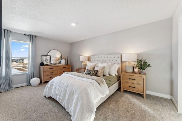 4574 Percheron Blvd, Chaska, MN 55318 - photo 40