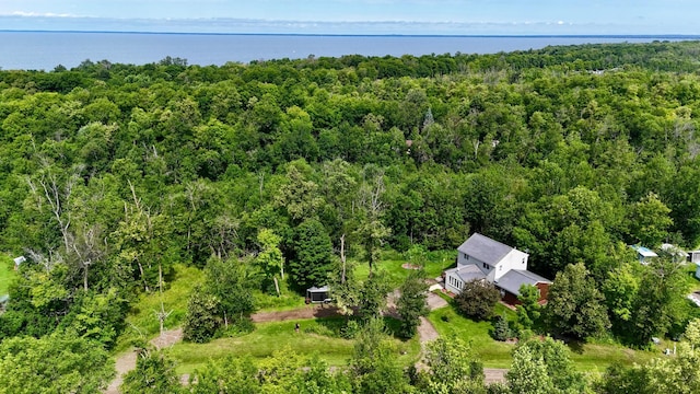 18611 327th Ave, Isle, MN 56342 - view from above of property with a heavily wooded area