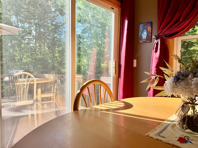 18611 327th Ave, Isle, MN 56342 - view of dining area