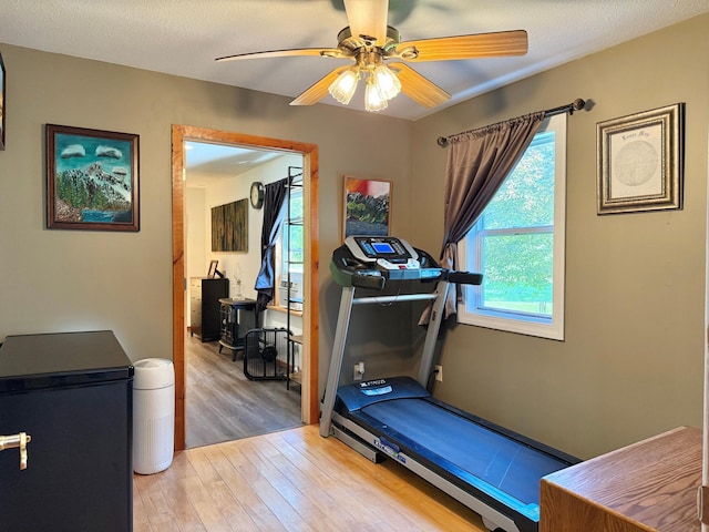 18611 327th Ave, Isle, MN 56342 - exercise room with wood finished floors and a ceiling fan