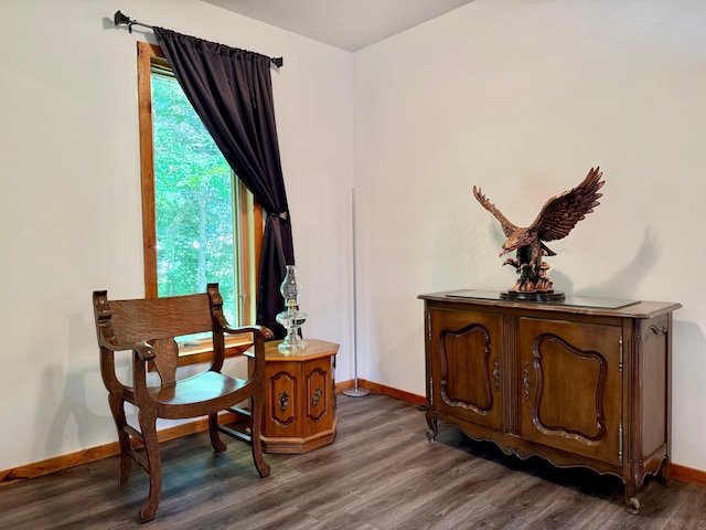 18611 327th Ave, Isle, MN 56342 - living area featuring wood finished floors and baseboards