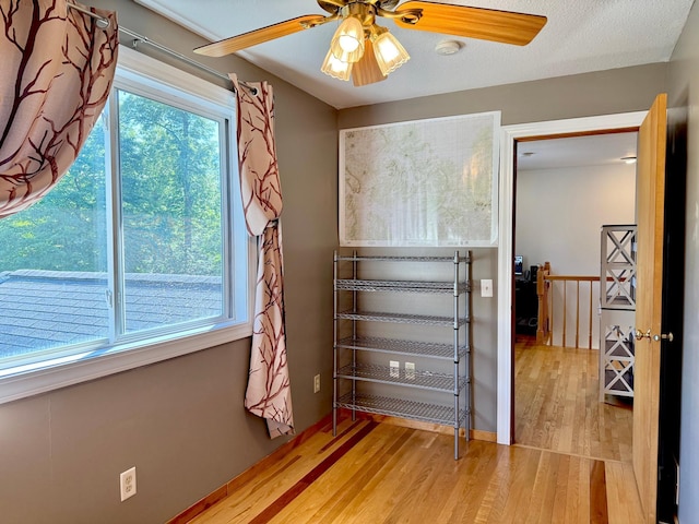 18611 327th Ave, Isle, MN 56342 - bedroom with wood finished floors and ceiling fan