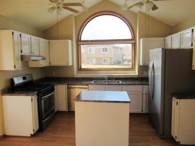 13437 Zarthan Ave S, Savage, MN 55378 - kitchen with appliances with stainless steel finishes, ceiling fan, vaulted ceiling, under cabinet range hood, and dark wood-style flooring