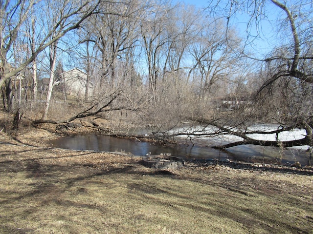 13437 Zarthan Ave S, Savage, MN 55378 - view of yard