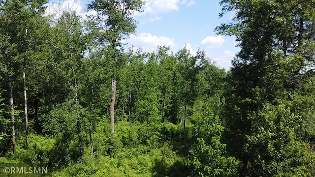 34618 330th Ave, Kimberly Twp, MN 56431 - photo 26