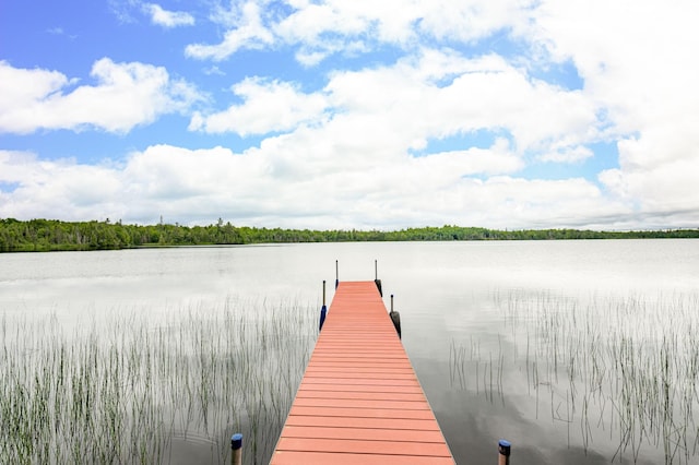 1207 Christianson Lake Rd, Two Harbors, MN 55616 - photo 4