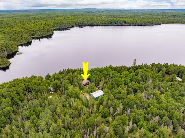 1207 Christianson Lake Rd, Two Harbors, MN 55616 - photo 31