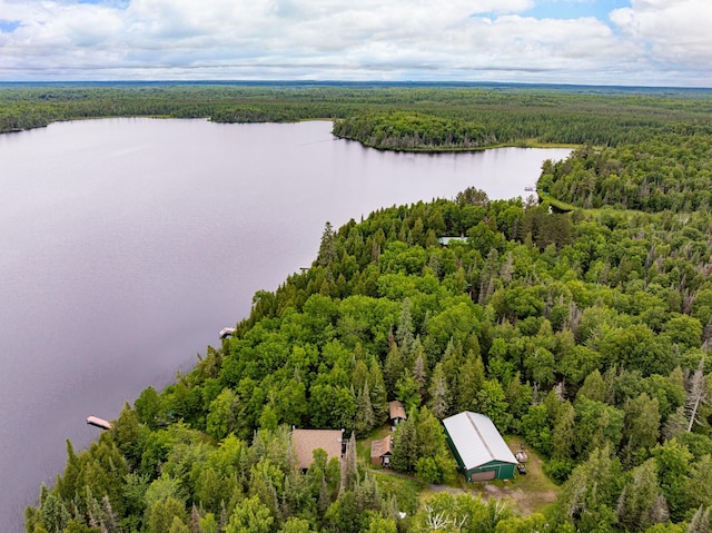 1207 Christianson Lake Rd, Two Harbors, MN 55616 - photo 32