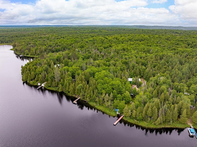 1207 Christianson Lake Rd, Two Harbors, MN 55616 - photo 33