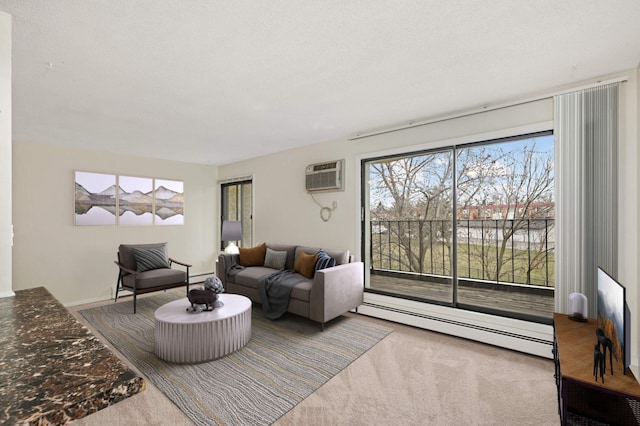 4130 Rahn Rd Unit 310, Eagan, MN 55122 - living area featuring baseboard heating, a wall unit AC, and carpet