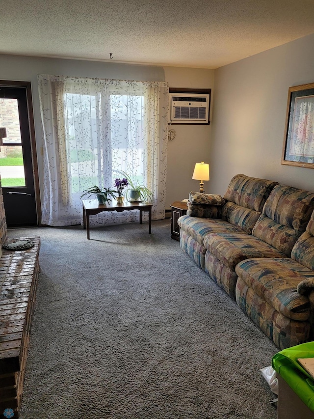 2402 18th St S Unit 3, Fargo, ND 58103 - living area featuring carpet floors, a wall mounted AC, and a textured ceiling