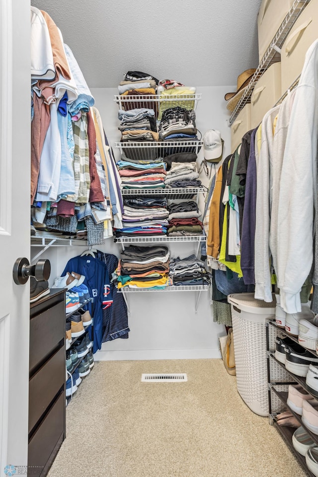 421 2nd Ave S, Kindred, ND 58051 - walk in closet featuring carpet flooring