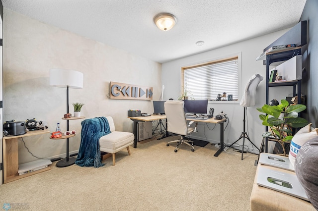 421 2nd Ave S, Kindred, ND 58051 - home office with carpet flooring and a textured ceiling