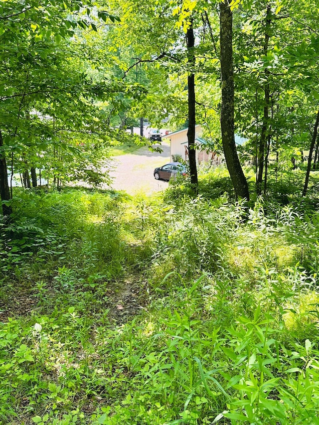1414 E Shore Dr, Edgewater, WI 54817 - view of yard