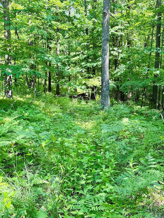 1414 E Shore Dr, Edgewater, WI 54817 - view of wooded area