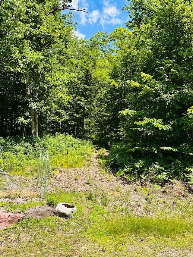 1414 E Shore Dr, Edgewater, WI 54817 - view of tree filled area
