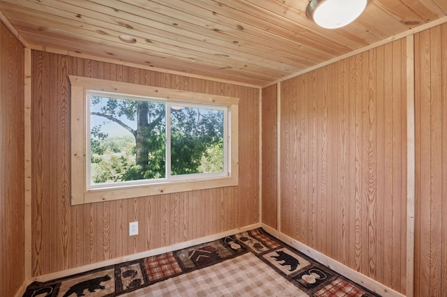29908 108th St NW, Baldwin Twp, MN 55371 - spare room featuring wooden walls and wood ceiling