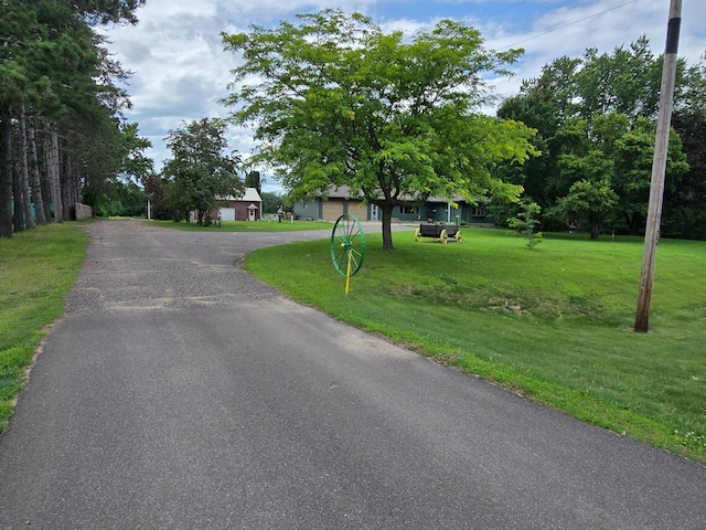 29908 108th St NW, Baldwin Twp, MN 55371 - view of asphalt driveway