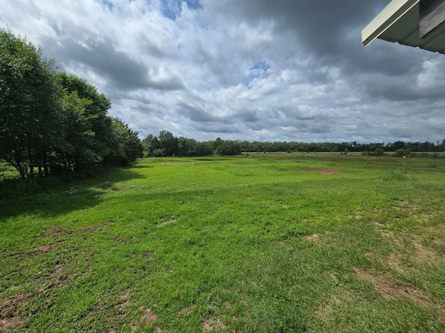 29908 108th St NW, Baldwin Twp, MN 55371 - view of grassy yard