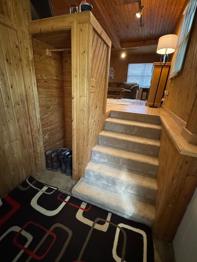 703 Center St E, Roseau, MN 56751 - photo 3