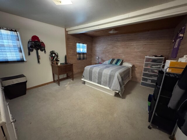 703 Center St E, Roseau, MN 56751 - photo 11