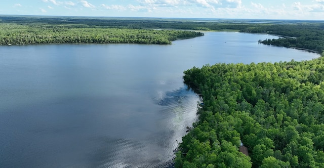TBD Moose Lake Rd NE, Moose Lake Twp, MN 56663