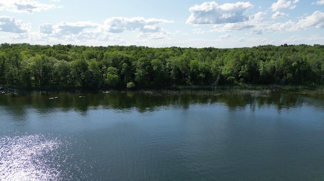 TBD Moose Lake Rd NE, Moose Lake Twp, MN 56663