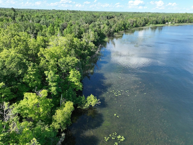 TBD Moose Lake Rd NE, Moose Lake Twp, MN 56663