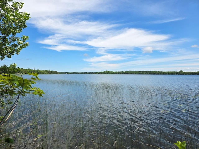 TBD Moose Lake Rd NE, Moose Lake Twp, MN 56663