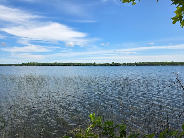 TBD Moose Lake Rd NE, Moose Lake Twp, MN 56663