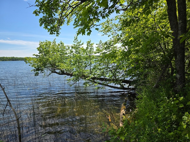 TBD Moose Lake Rd NE, Moose Lake Twp, MN 56663
