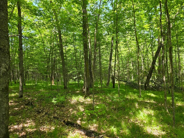 TBD Moose Lake Rd NE, Moose Lake Twp, MN 56663