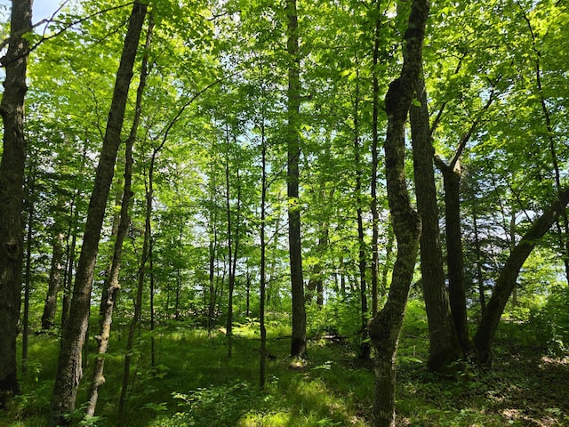 TBD Moose Lake Rd NE, Moose Lake Twp, MN 56663
