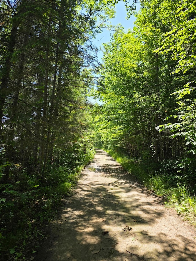 TBD Moose Lake Rd NE, Moose Lake Twp, MN 56663