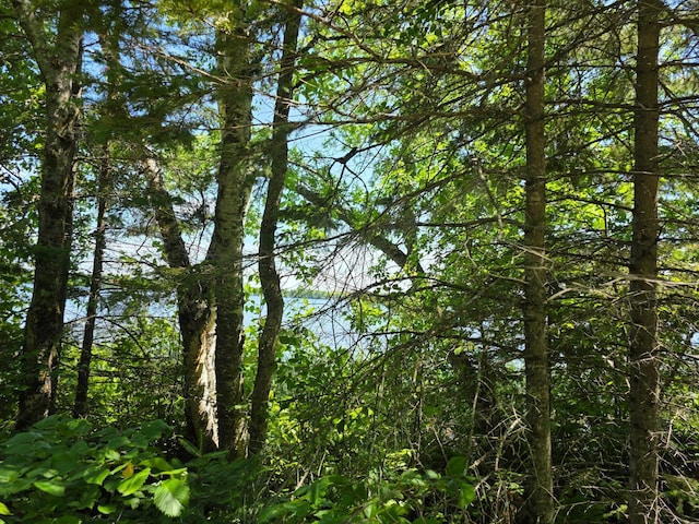 TBD Moose Lake Rd NE, Moose Lake Twp, MN 56663