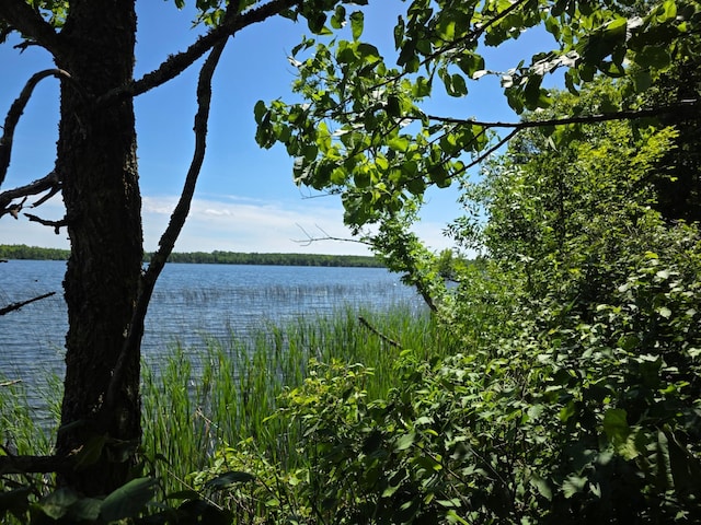 TBD Moose Lake Rd NE, Moose Lake Twp, MN 56663