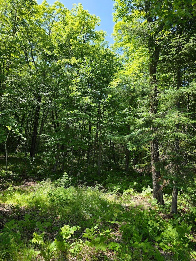TBD Moose Lake Rd NE, Moose Lake Twp, MN 56663