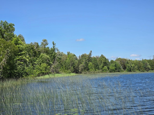 TBD Moose Lake Rd NE, Moose Lake Twp, MN 56663