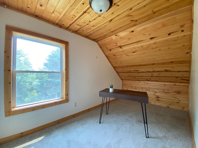 2175 Finland Ave, Finlayson, MN 55735 - photo 22