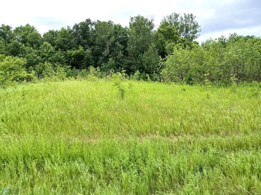 C-1 County Highway 17, Candor Twp, MN 56587