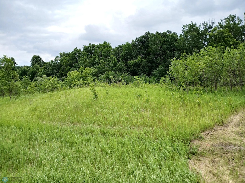C-1 County Highway 17, Candor Twp, MN 56587