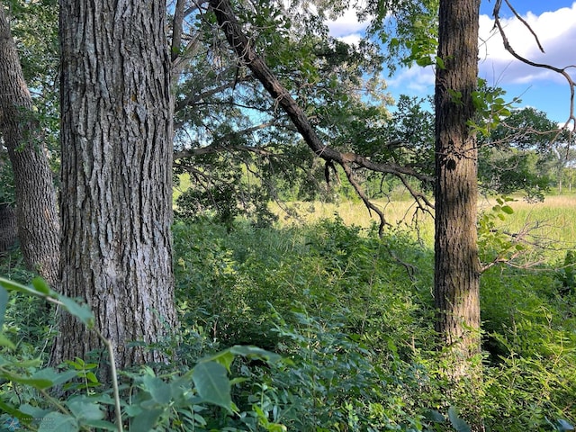 C-1 County Highway 17, Candor Twp, MN 56587 - photo 1