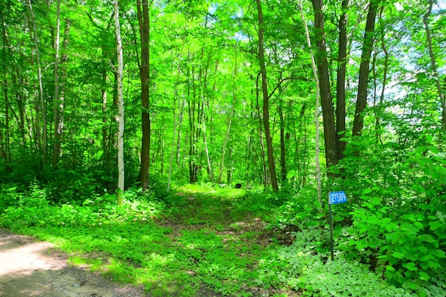 27589 Norway Trl, Cushing Twp, MN 56475